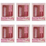 Barra y Aceite Labial Sweet Drip Duo Sandía Ph Jelly Beauty Creations - Venta al por Mayor 6 Unidades (SDD-1)