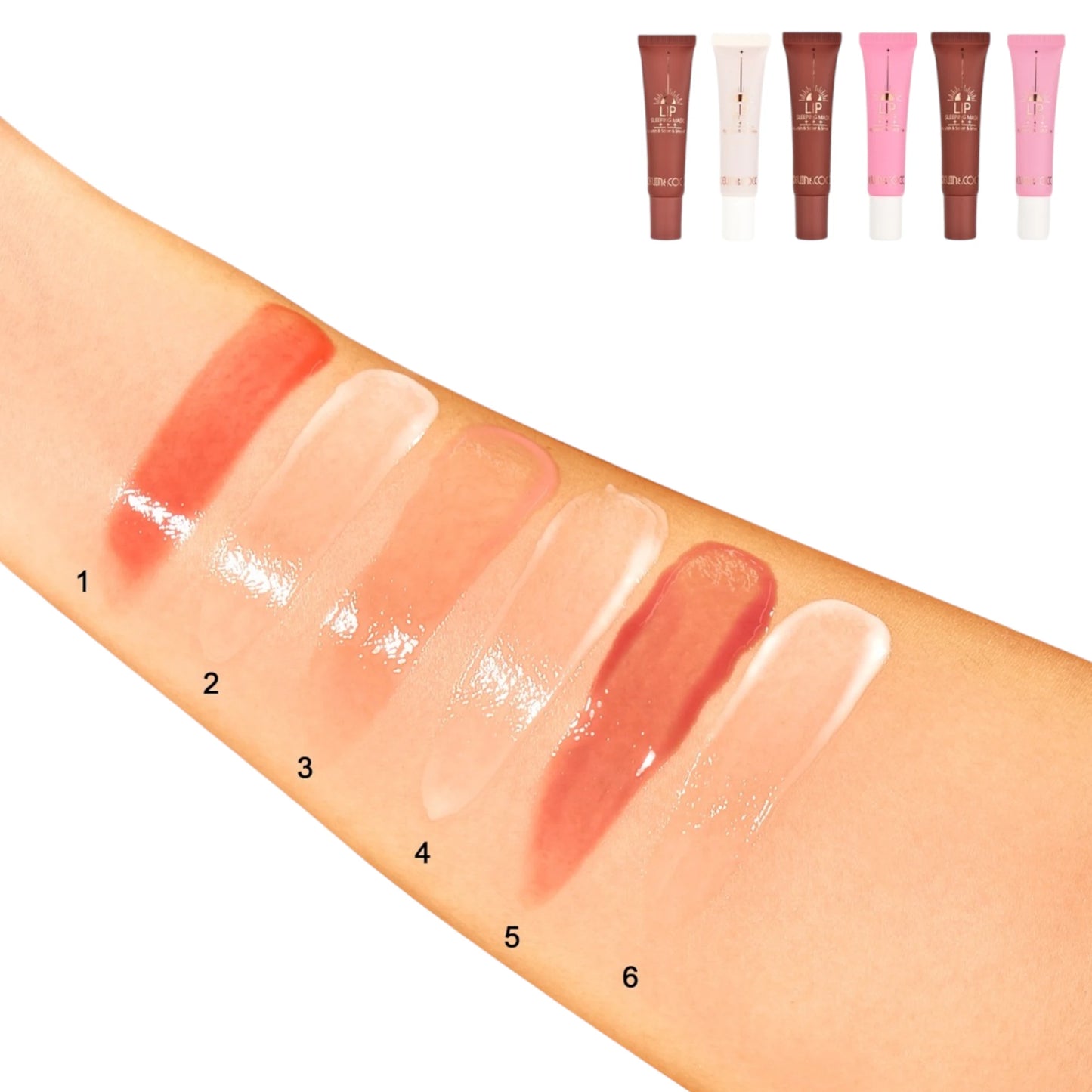 Set de Labiales Day-To-Night Kevin & Coco | Cosméticos al por Mayor