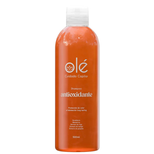 Champú Antioxidante Mezcla de Frutas | Cosméticos al por Mayor