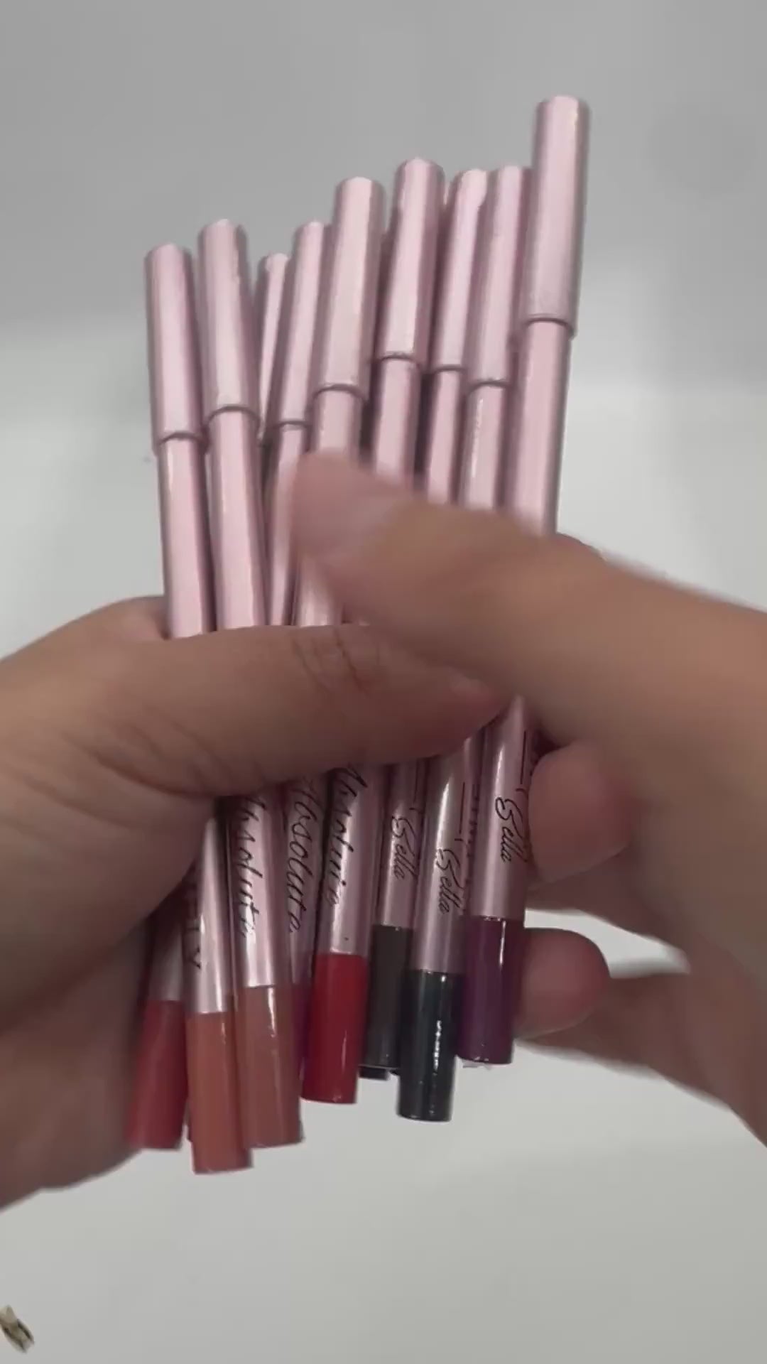 Delineador Labios a Prueba de Agua Absolute | Cosméticos al por Mayor
