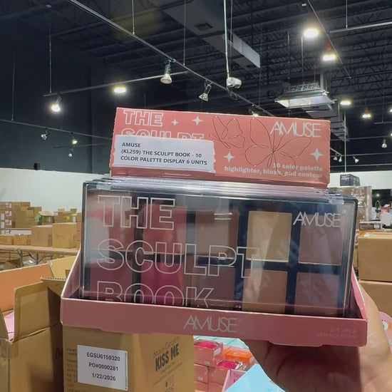 Paleta de 10 Colores The Sculpt Book Amuse | Cosméticos al por Mayor
