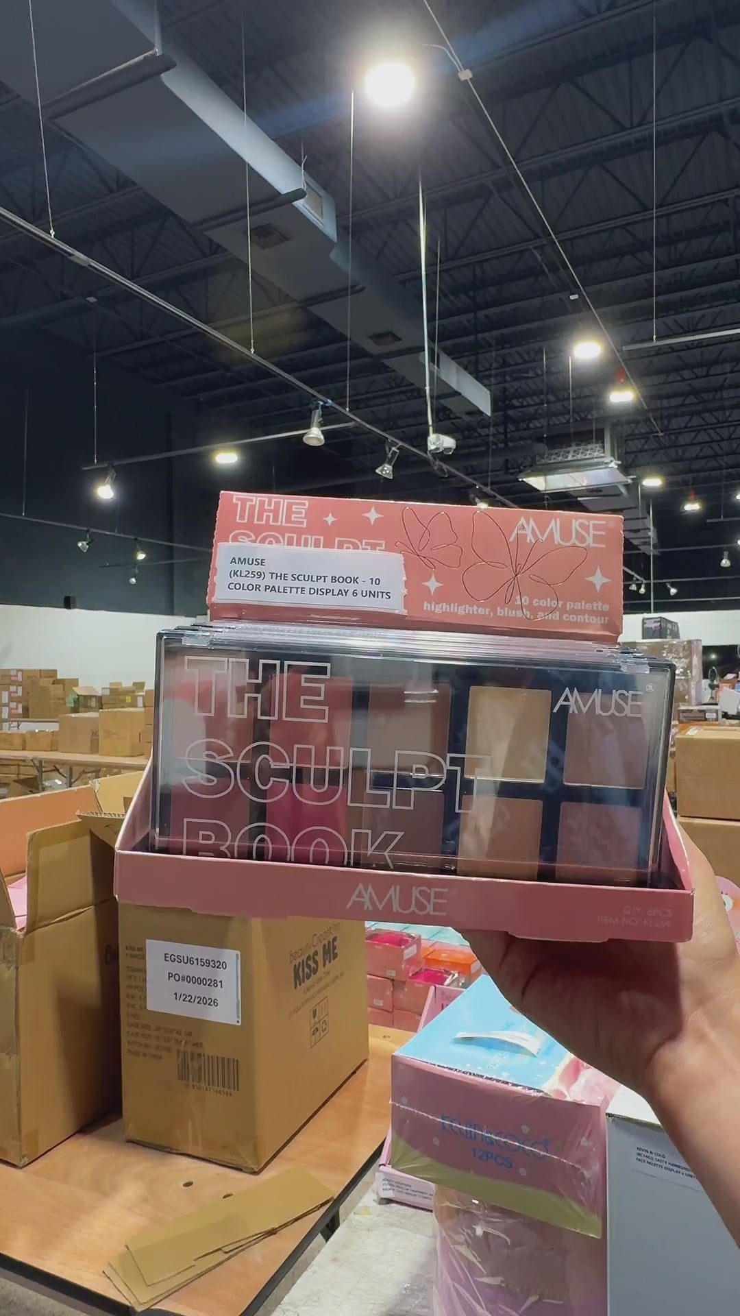 Paleta de 10 Colores The Sculpt Book Amuse | Cosméticos al por Mayor