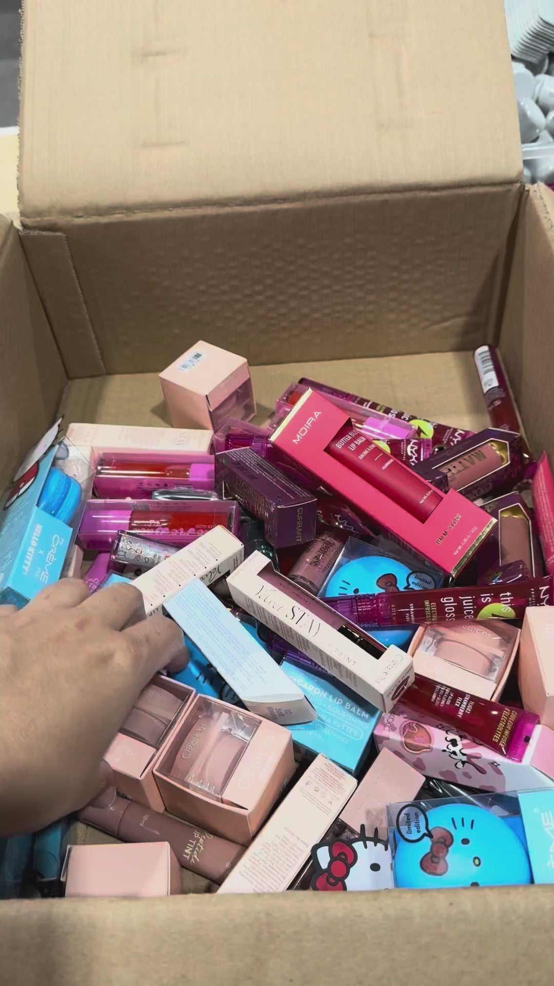 Labiales Surtidos | Cosméticos al por Mayor